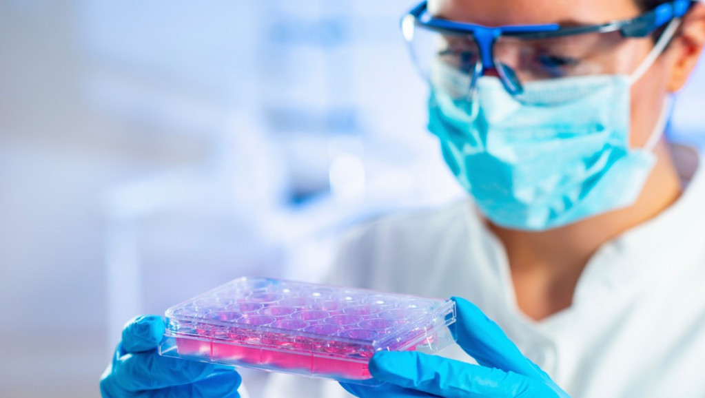 Registar davalaca matičnih ćelija Srbije: Za 70 odsto pacijenata život zavisi od dobrovoljnih davalaca