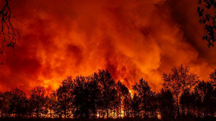 Objavljeni podaci o šumskim požarima: U devet zemalja EU oboreni rekordi spaljenih površina