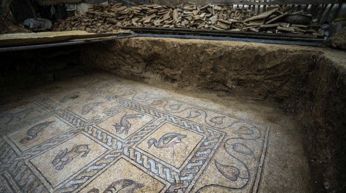Osuđen krijumčar iz Kalifornije koji je iz Sirije pokušao da prošvercuje mozaik Herkula star 1.500 godina