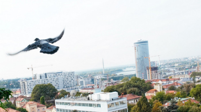 Sunce, mraz i sneg u istom mesecu, vreme u Srbiji sve nepredvidivije - kakav nas novembar očekuje?