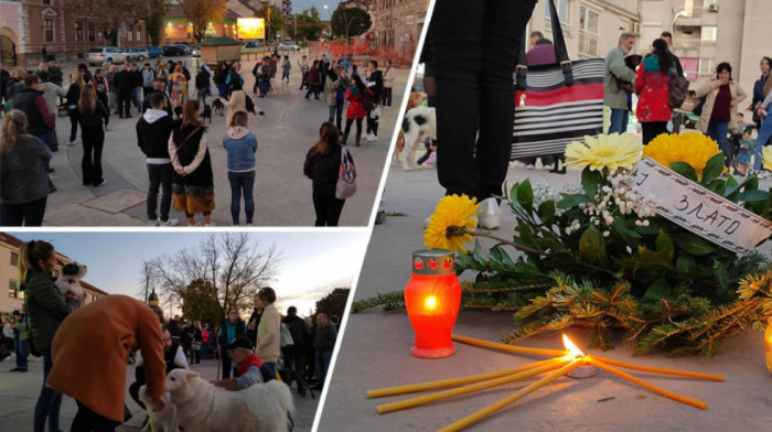 U Smederevskoj Palanci pronađen još jedan mrtav pas, građani i danas protestuju tražeći da se počinioci pronađu