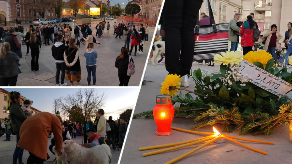 U Smederevskoj Palanci pronađen još jedan mrtav pas, građani i danas protestuju tražeći da se počinioci pronađu