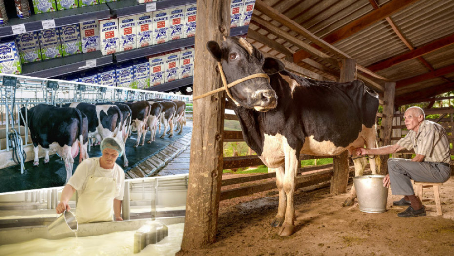 Vučić najavio važne vesti za poljoprivrednike: "Povećava se premija za mleko"