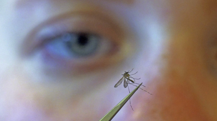 Na 32 lokacije u Beogradu večeras od 18 sati do ponoći akcija suzbijanja komaraca