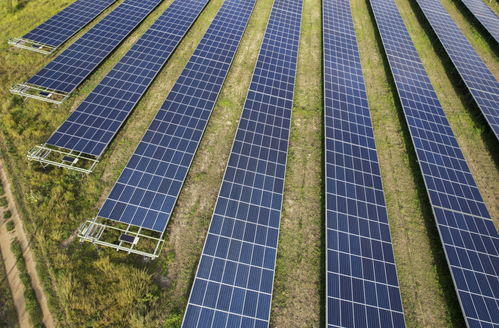 Il governo italiano ha limitato l’installazione di pannelli solari sui terreni agricoli