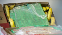 U Vinkovcima pronađeno 30 kg kokaina u kutijama banana