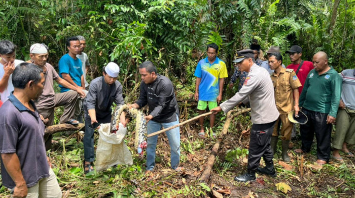 U Indoneziji piton usmrtio ženu i celu je progutao