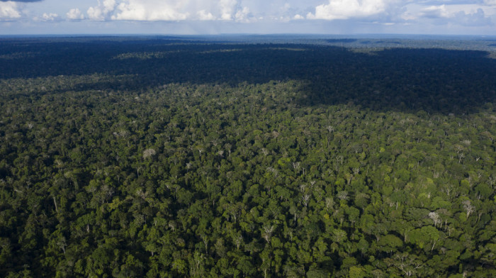 Predsednik Brazila saopštio dobre vesti: Krčenje šuma u ​​brazilskoj Amazoniji palo za 70 odsto u avgustu