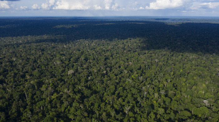 U amazonskim prašumama u Brazilu u avgustu zabeleženi najveći požari za poslednjih 14 godina