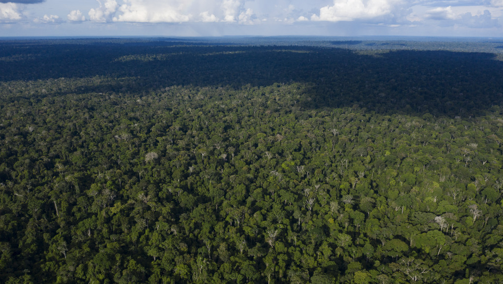 Ilegalni kopači zlata na zaštićenoj teritoriji amazonske prašume