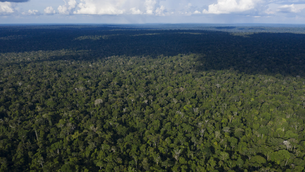 U amazonskim prašumama u Brazilu u avgustu zabeleženi najveći požari za poslednjih 14 godina