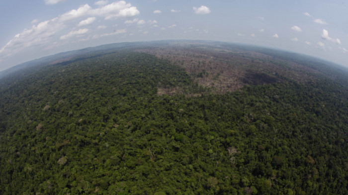 Brazilska savezna država pokreće obavezan program praćenja stoke da bi spasila amazonsku prašumu