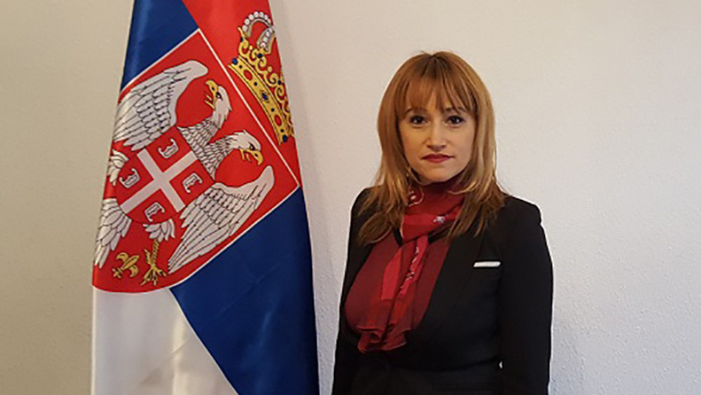 Ambasadorka Srbije pri Savetu Evrope: Zahtev Prištine za članstvo nije bio tema sastanka Komiteta ministara
