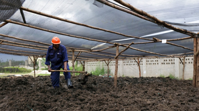 Holandija dozvolila isporuku ruskog đubriva Malaviju na zahtev UN