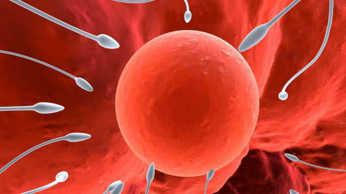 Muška plodnost u velikoj krizi: Drastično opadanje broja spermatozoida na putu da "ugrozi opstanak čovečanstva"