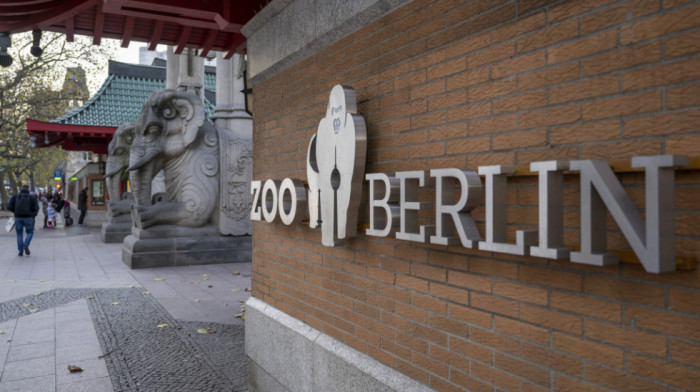Zbog ptičijeg gripa zatvoren berlinski zoo vrt