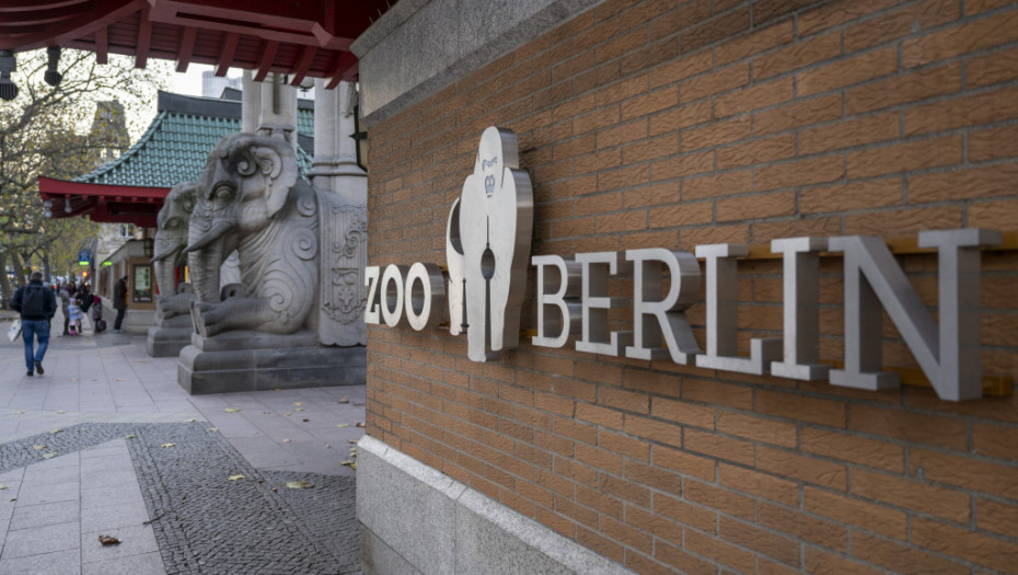 Zbog ptičijeg gripa zatvoren berlinski zoo vrt