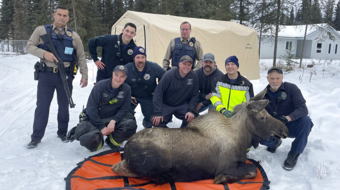 Kako iz podruma izvaditi losa od 225 kilograma? Znaju vatrogasci na Aljasci