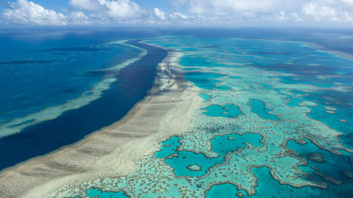 UN: Veliki australijski greben staviti na listu ugrožene svetske baštine