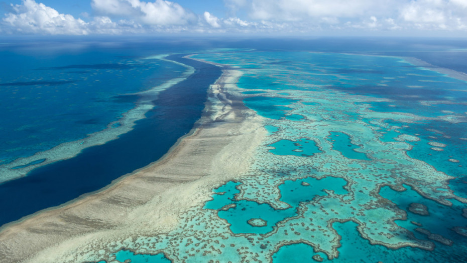 UN: Veliki australijski greben staviti na listu ugrožene svetske baštine