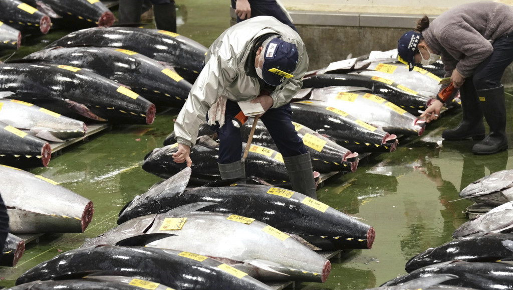 Tuna na aukciji u Tokiju dostigla cenu od 273.000 dolara, ali ta svota nije ni blizu rekordne plaćene za ovu ribu