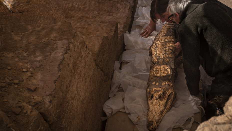 U Egiptu otkrivena grobnica sa ostacima pet mumificiranih krokodila
