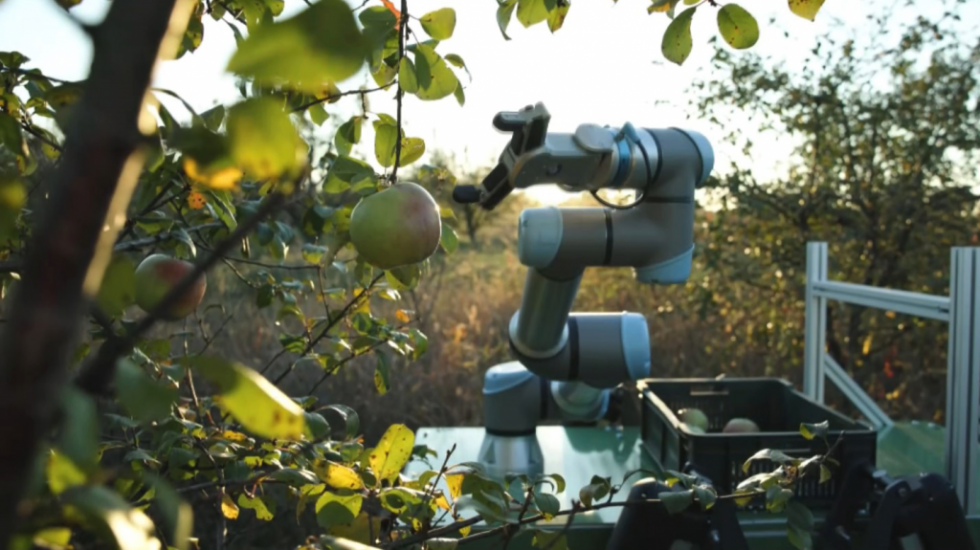 Dok "Agar" bere plodove, "Šepard" čuva stado ovaca: Niški stručnjaci izradili robote koji pomažu poljoprivrednicima