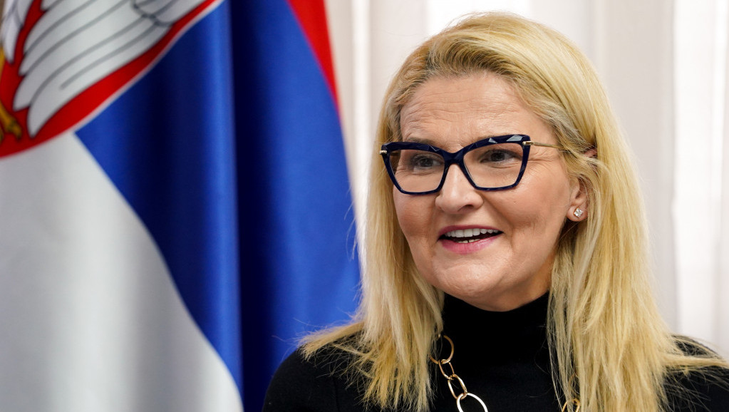 Miščević: Moramo da dokažemo da imamo kompetentno ekonomsko tržište