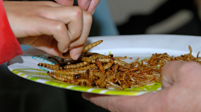 Brisel odobrio još dva insekta za ishranu ljudi: Da li će se zaista naći na meniju Evropljana