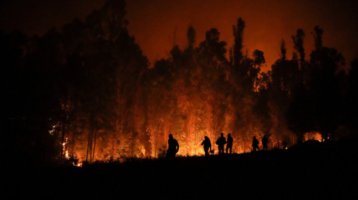 Šumski požari opustošili Čile: Više od 300 ljudi se vodi kao nestalo, vlasti procenjuju štetu