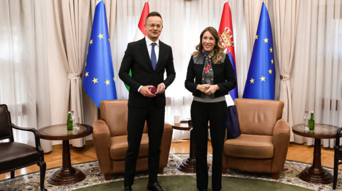 Srbija i Mađarska posvećene daljem razvoju saradnje u energetici, Đedović: "Počele pripreme za izgradnju naftovoda"
