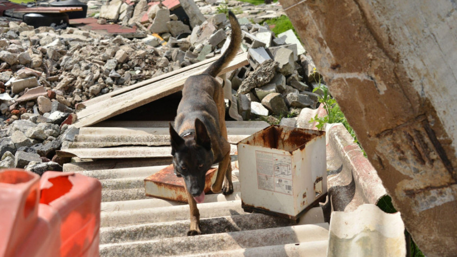 Turska poslala Meksiku štene nemačkog ovčara - da sačuva uspomenu na psa heroja Protea