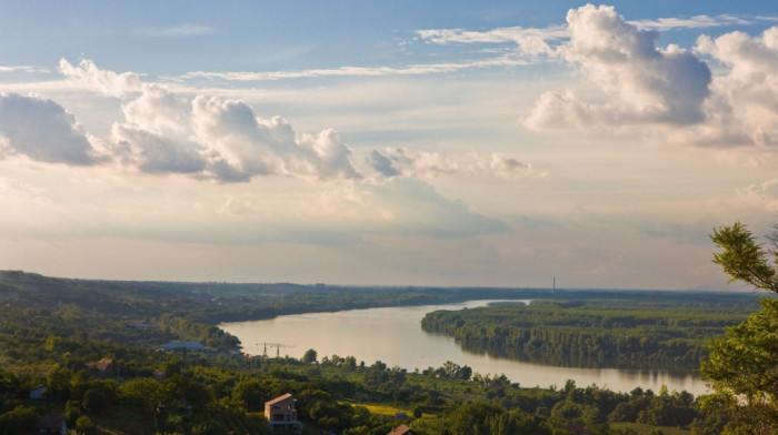 Vojvodina najmanje šumovita regija Evrope: Trenutno pod šumom 150.000 hektara, nedostaje još najmanje toliko