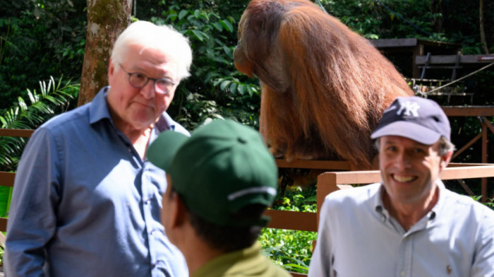 Nemački predsednik u neobičnoj situaciji u Maleziji: Štajnmajer prekinuo izjavu za medije kada mu se približio orangutan