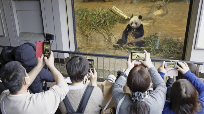 Suze za Sjang Sjang u Tokiju: Džinovska panda izazvala mnogo emocija - napušta Japan i vraća se u Kinu