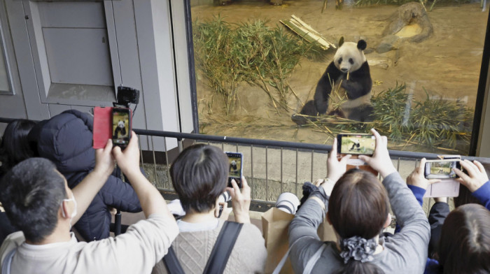 Suze za Sjang Sjang u Tokiju: Džinovska panda izazvala mnogo emocija - napušta Japan i vraća se u Kinu