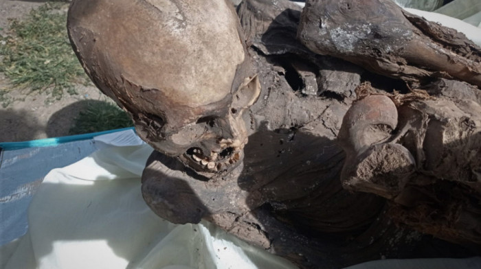 Policija u Peruu uhapsila dostavljača hrane: Nosio drevnu mumiju u rashladnoj torbi