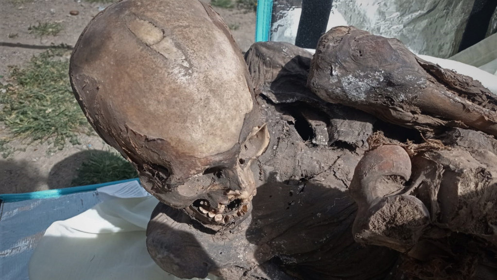 Policija u Peruu uhapsila dostavljača hrane: Nosio drevnu mumiju u rashladnoj torbi
