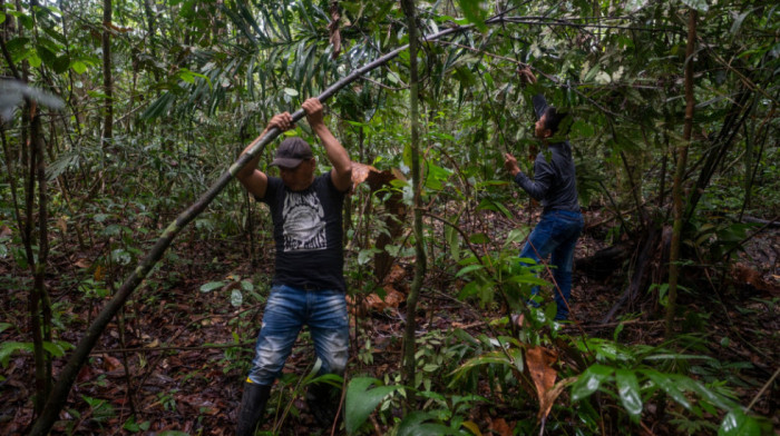 Bolivijac pronađen posle mesec dana u amazonskoj džungli