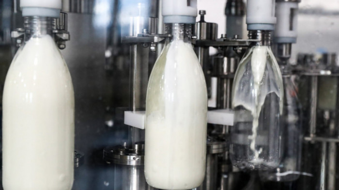 Vlada povećala subvencije po grlu za mlečne krave i premije za mleko