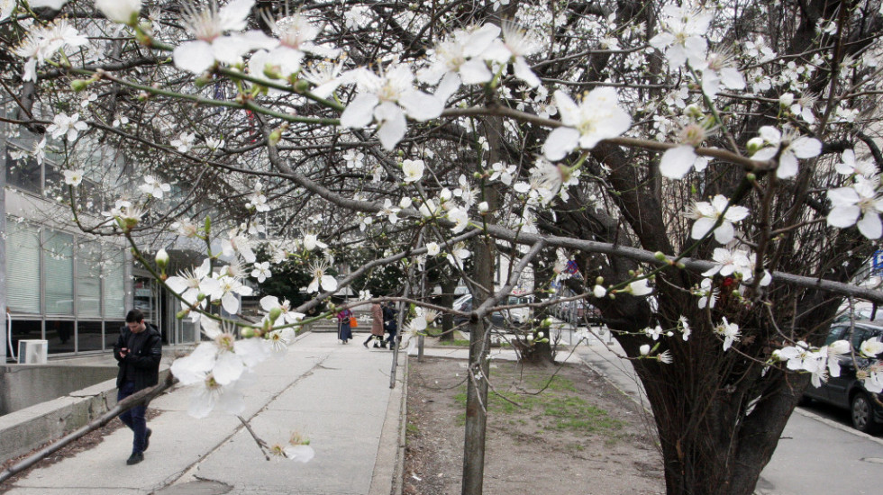 Povratak proleća: Temperatura širom Srbije iznad 10 stepeni