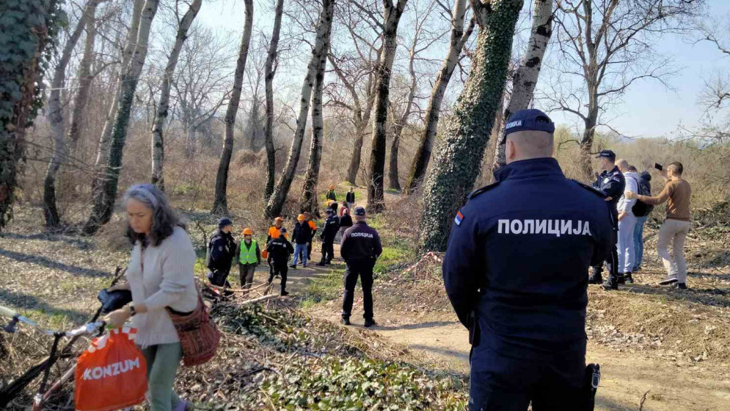 Krenula seča drveća na Kameničkoj adi, aktivisti brane stabla, "Vojvodinašume": Stručnjaci uključeni u ceo proces