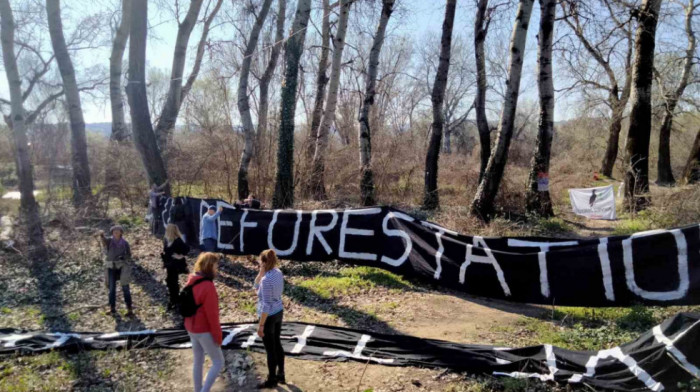 Aktivisti na Šodrošu drugi dan brane drveće, NVO "Svet i Dunav" podnela krivičnu prijavu protiv Vojvodinašuma