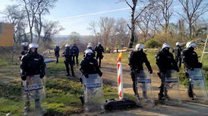 Na Šodrošu i Kameničkoj adi u toku seča stabala: Prisutni kordoni policije, privedeno više aktivista