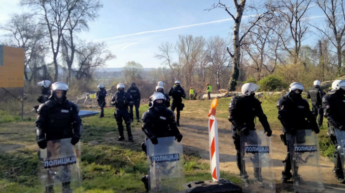 Na Šodrošu i Kameničkoj adi u toku seča stabala: Prisutni kordoni policije, privedeno više aktivista