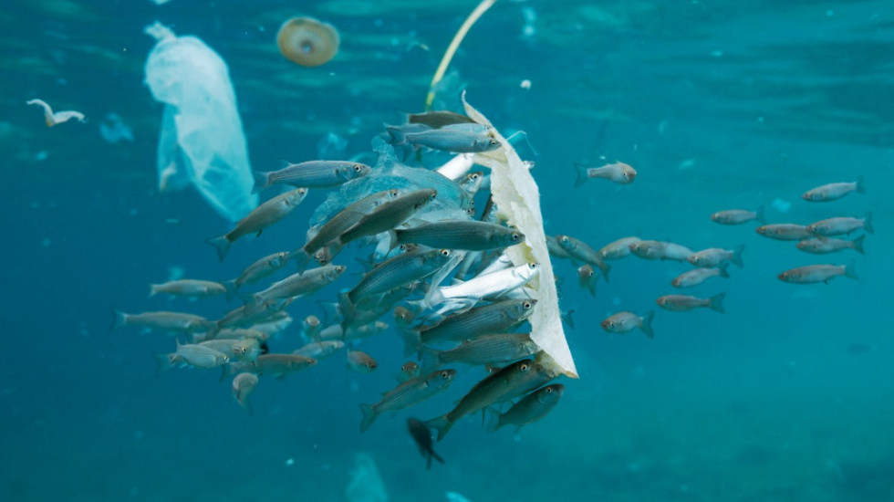 Novo istraživanje: Značajno povećana količina mikroplastike u britanskim vodama