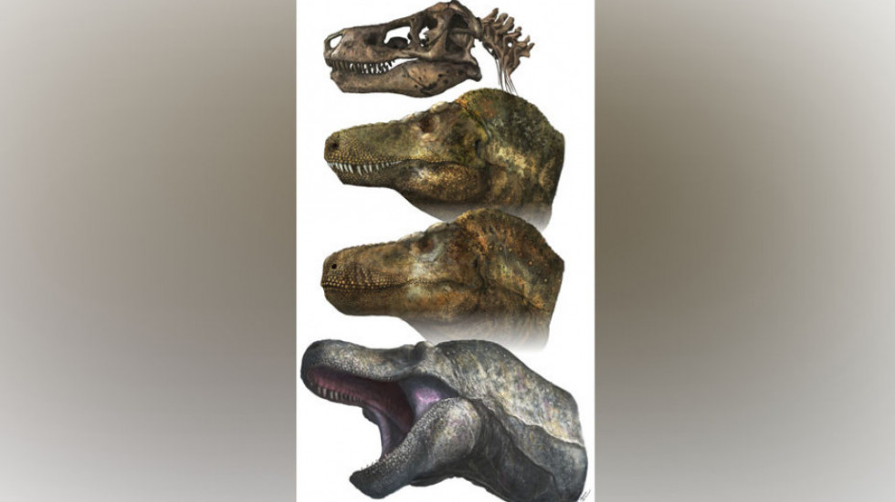 Američki naučnici o dinosaurusima: Imali su usne, nisu im štrčali zubi iz usta
