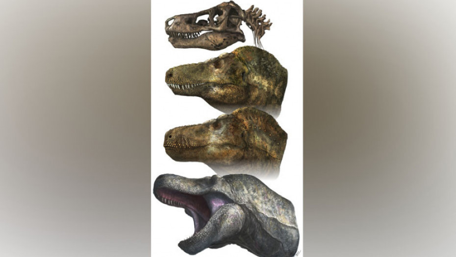 Američki naučnici o dinosaurusima: Imali su usne, nisu im štrčali zubi iz usta