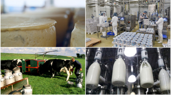 Uvozne takse na mleko: Evropska komisija traži od Srbije da ih ukine, domaći proizvođači zadovoljni merama koje ih štite