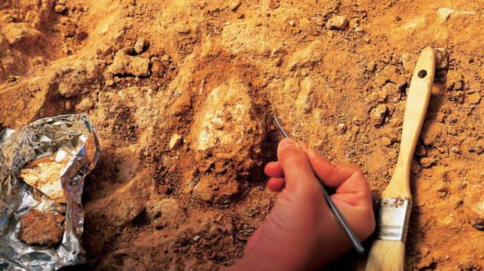 Arheološka iskopavanja kod Narodne skupštine nagoveštavaju važna otkrića